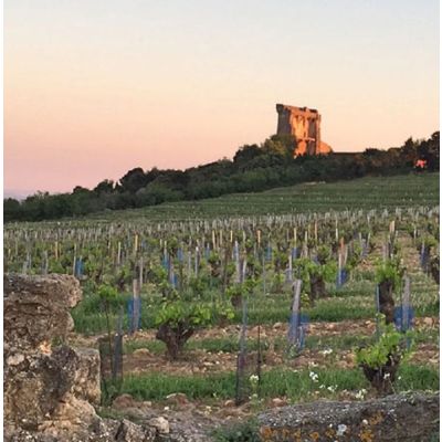 Chateauneuf du Pape en Provence