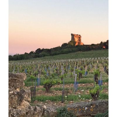 Chateauneuf du Pape en Provence