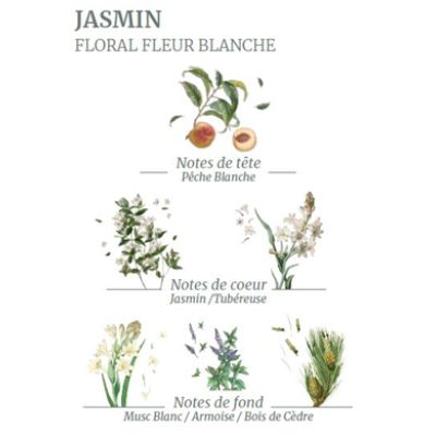 La Fleur d’Oranger Bigaradier est l’une des matières premières incontournable de la Haute Parfumerie Grassoise