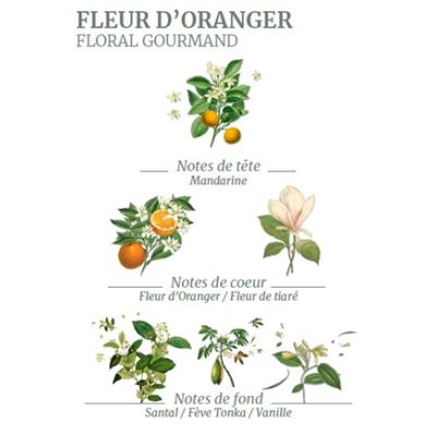 La Fleur d’Oranger Bigaradier est l’une des matières premières incontournable de la Haute Parfumerie Grassoise