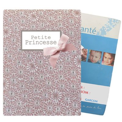 Protège Carnet de santé personnalisé - Petite Princesse