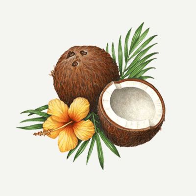 Ingrédient actif : l'huile e coco