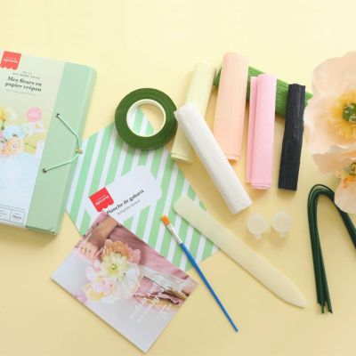 Kit DIY pour créer de magnifiques fleurs en papier crépon